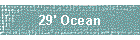 29' Ocean